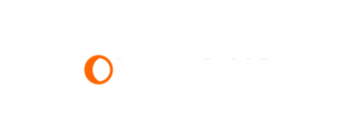 coding wizard